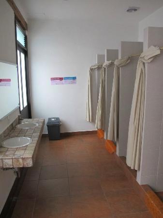 Mexico City Hostel