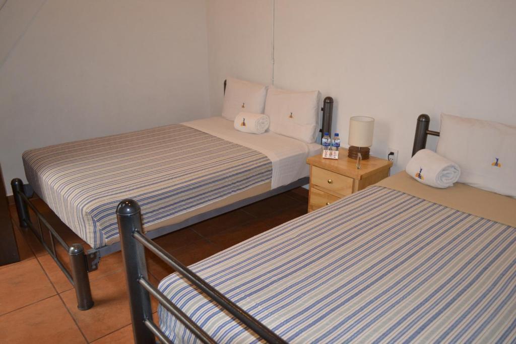 Ostello Mexico City Hostel Città del Messico